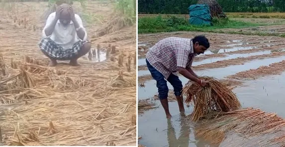 मुरादाबाद : भारी बारिश से जनजीवन अस्त व्यस्त, फसल और घर क्षतिग्रस्त