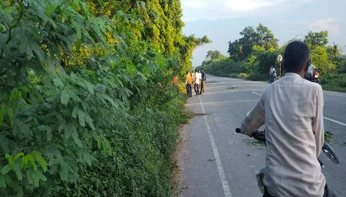 हरदोई: बड़ी झाड़ियों से बने अंधे मोड़, हो रहे हादसे