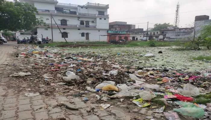 रायबरेली: इंदिरा नगर में गंदगी का अंबार, सफाई कर्मियों की मनमानी से मोहल्ले के हाल बेहाल