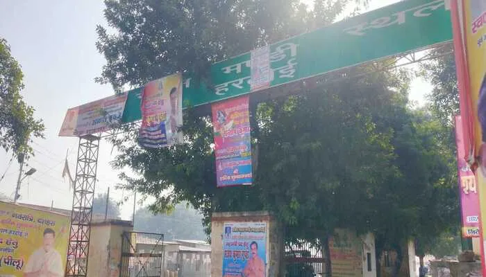 हरदोई: 19 अक्टूबर को होगा मंडी परिषद का वार्षिक चुनाव, आज से शुरू हुआ नामांकन