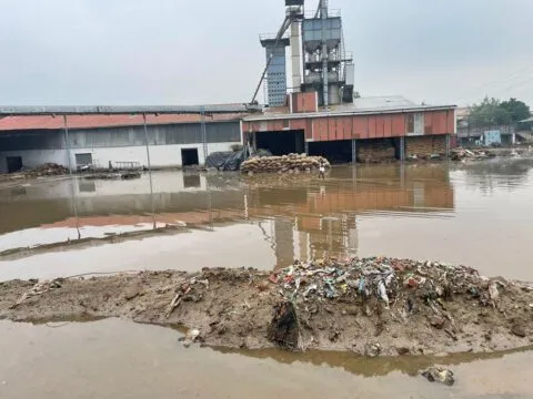 रुद्रपुर: जलभराव से हुए नुकसान पर राइस मिलर्स एसोसिएशन ने की 500 करोड़ रुपए के मुआवजे की मांग, देखें वीडियो