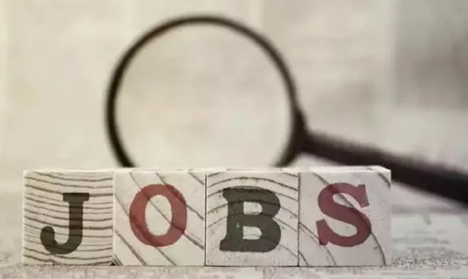 Job Alert: इलाहाबाद यूनिवर्सिटी में कई पदों पर बंपर भर्तियां, आवेदन की अंतिम तारीख 23 अक्टूबर, जल्द करें अप्लाई