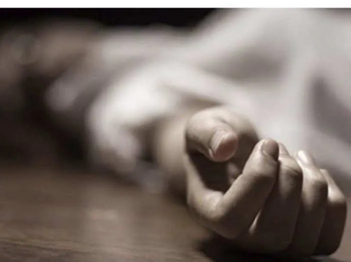 बरेली: बिथरी चैनपुर में सोलर करंट लगने से दो युवकों की मौत