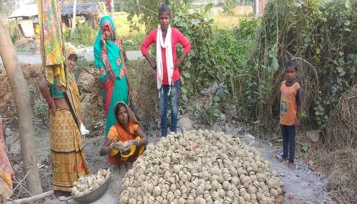देश की मिट्टी देगी चाइनीज झालरों को मात, अब बदल रही गांव से लेकर शहरों तक की सोच