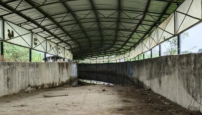 रायबरेली: अंडरपास में भरा पानी,  रेल लाइन पार करने पर मजबूर हुए ग्रामीण