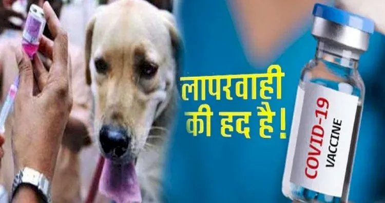 बड़ी लापरवाही: रेबीज की जगह मरीज को लगा दिया कोविड-19 टीका