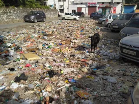 हल्द्वानी: सफाई करना भूला नगर निगम, सामाजिक संगठन ने ली सुध