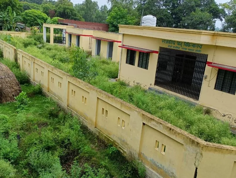 बरेली: पशु अस्पताल खस्ताहाल, ग्रामीणों में रोष