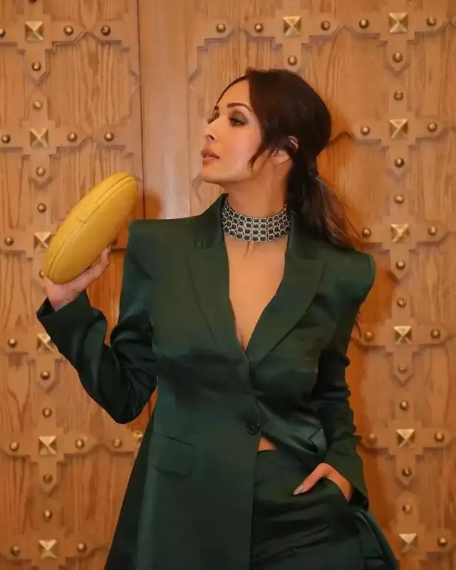 PHOTOS :- मलाइका अरोड़ा की स्टाइलिश फोटोज हुई वायरल, देखे फोटोज