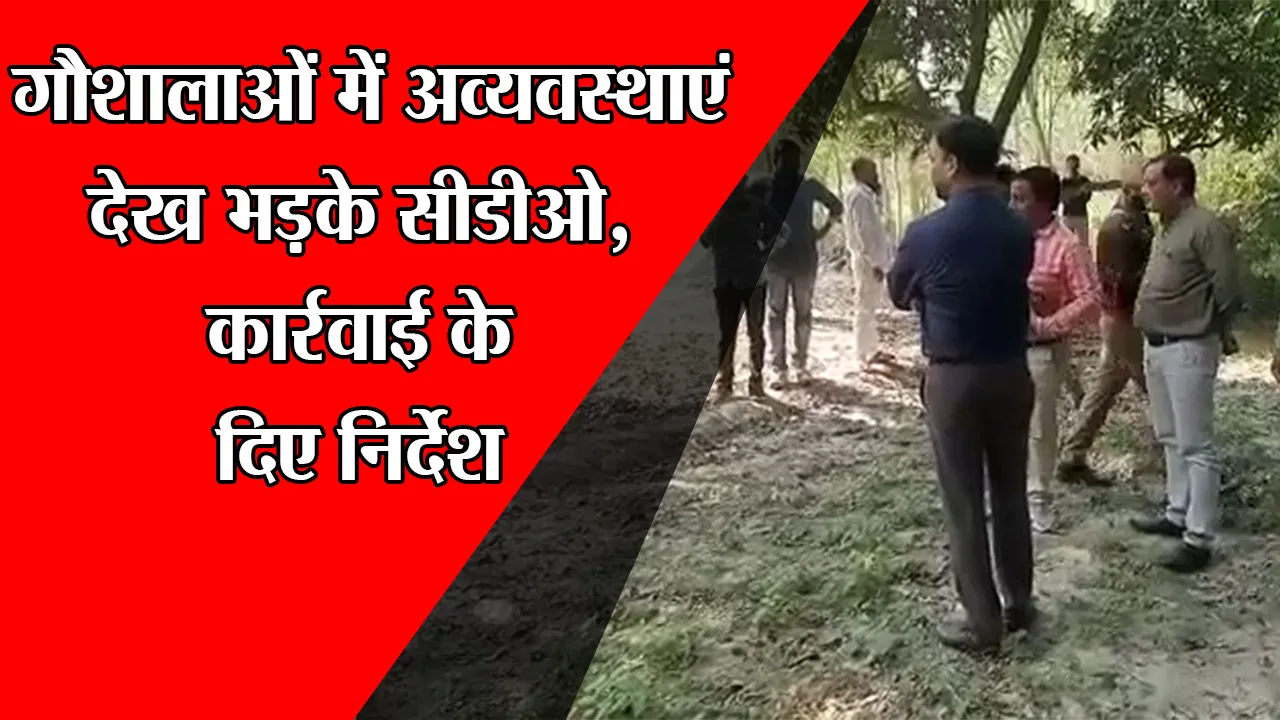 उन्नाव: गौशालाओं में अव्यवस्थाएं देख भड़के सीडीओ, कार्रवाई के दिए निर्देश