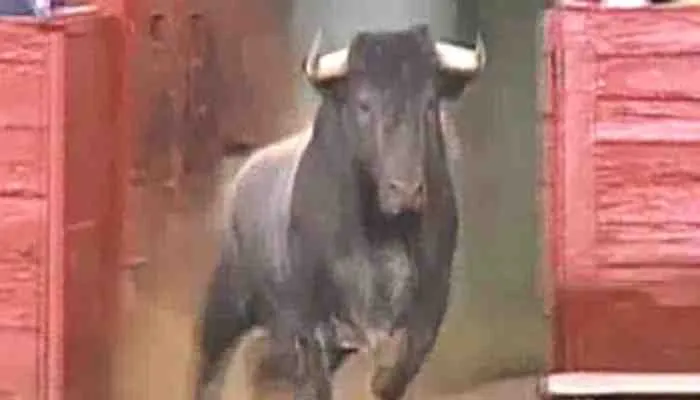 अयोध्या: अलाव ताप रहे अधेड़ की सांड के हमले से मौत