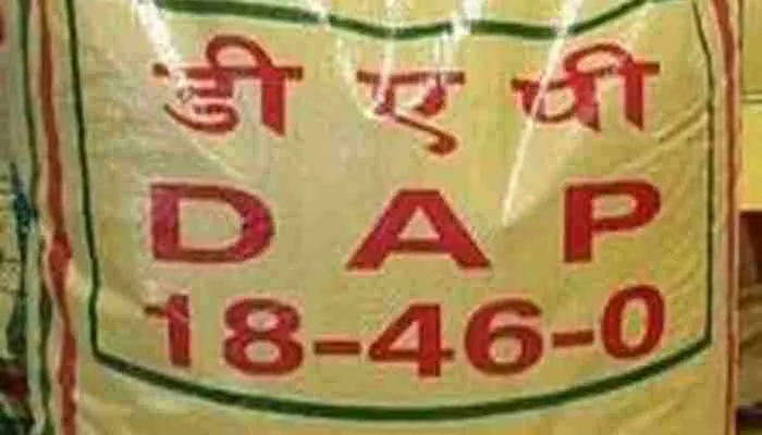 अमेठी: डीएपी खाद न मिलने से किसानों को हो रही काफी परेशानी