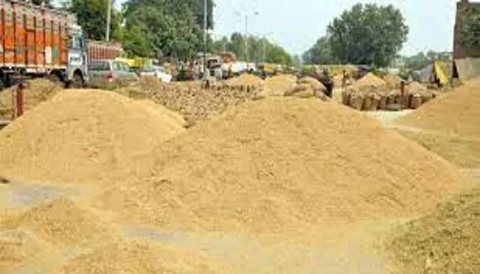 यूपी में धान खरीद ने पकड़ी रफ्तार, जानें अब तक कितना हुआ क्रय