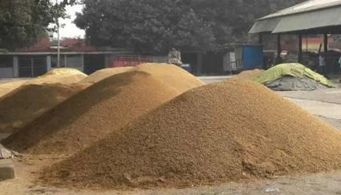 मिर्जापुर: तहसीलदार ने धान क्रय केंद्र का किया औचक निरीक्षण, दिया ये निर्देश