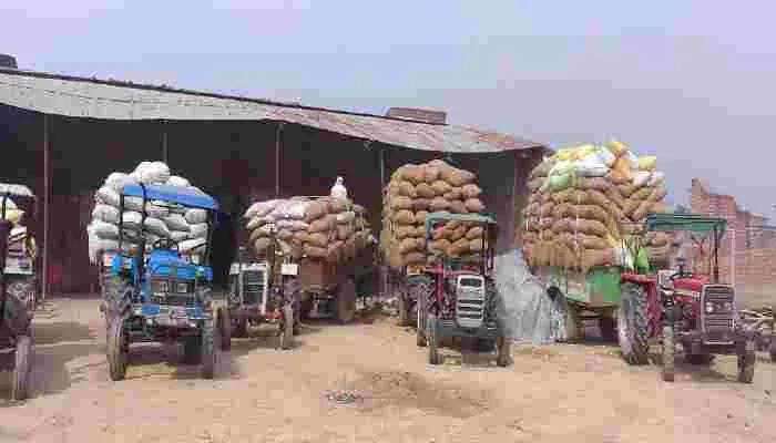 बाराबंकी: औने-पौने दामों पर धान बेचने को मजबूर किसान, जानें वजह