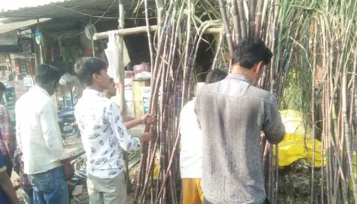 रायबरेलीः देवोत्थान एकादशी पर घर-घर नारायण भगवान की हुई पूजा