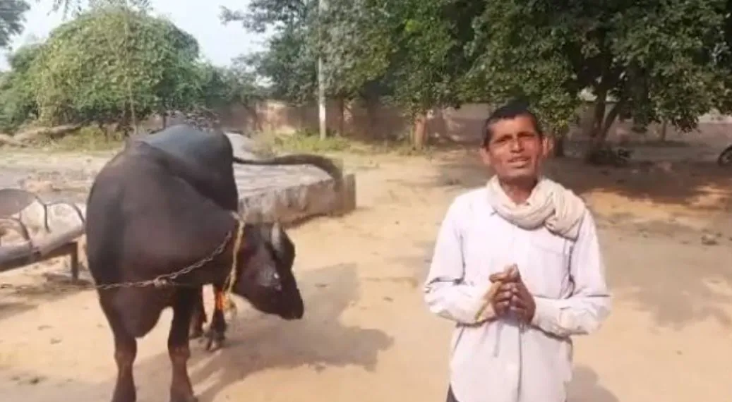 भैंस लेकर थाने पहुंचा किसान, कहा- जादू-टोने के कारण दूध नहीं दे रही, पुलिस ने यूं किया समाधान
