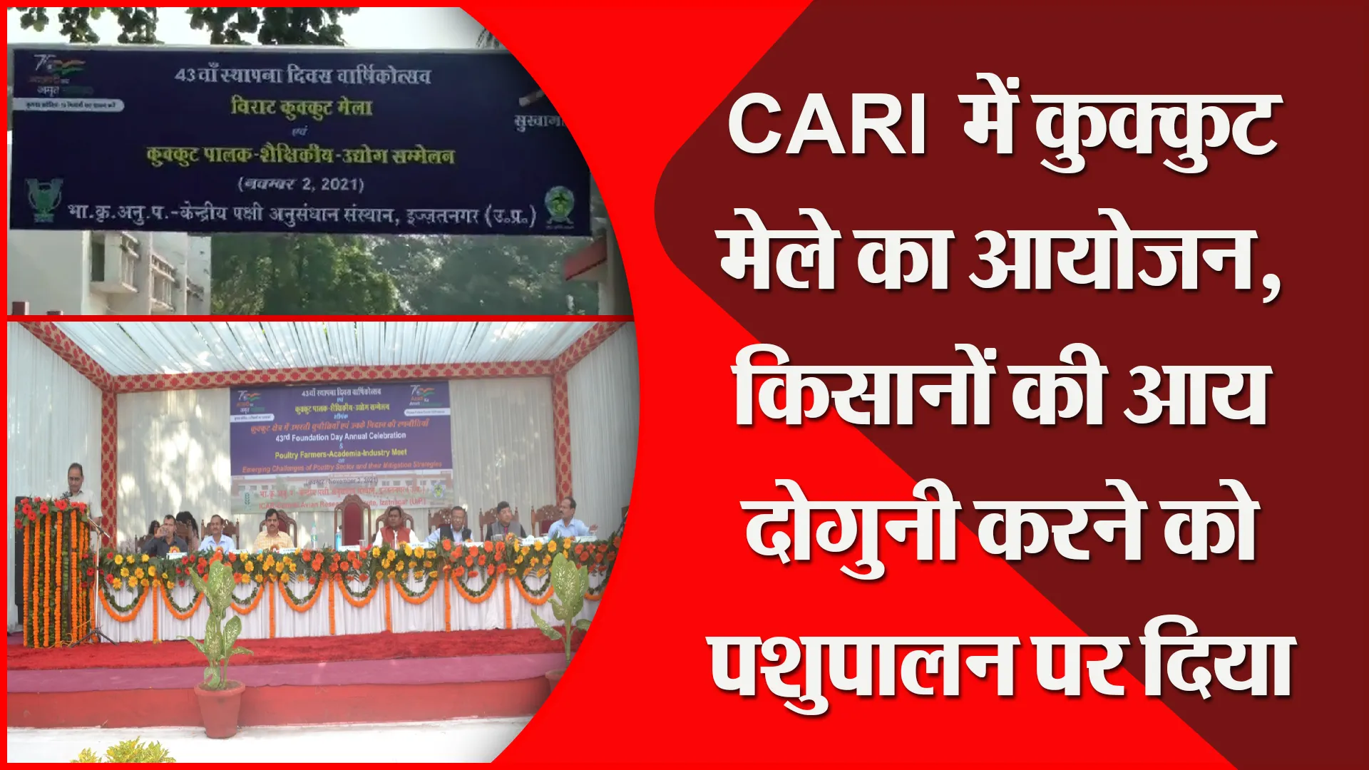 बरेली: CARI में कुक्‍कुट मेले का आयोजन, किसानों की आय दोगुनी करने को पशुपालन पर दिया जोर