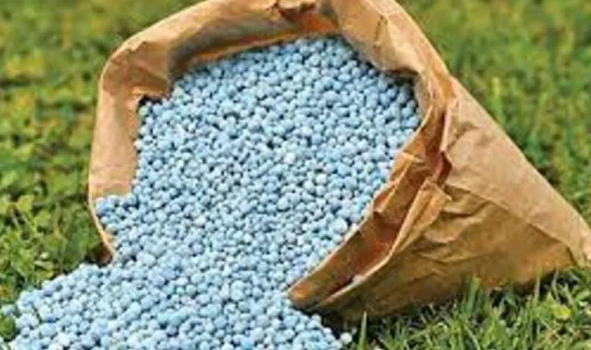 बरेली: सीमा पर चौकसी बढ़ा उत्तराखंड के किसानों को उर्वरक बिक्री पर रोक लगाएं