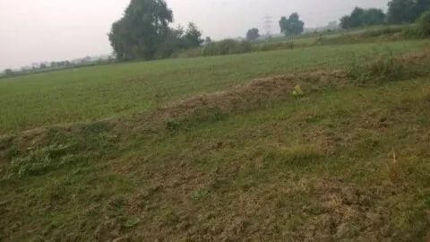हल्द्वानी: गांवों में सरकारी जमीन का ब्यौरा देंगे ग्राम विकास अधिकारी