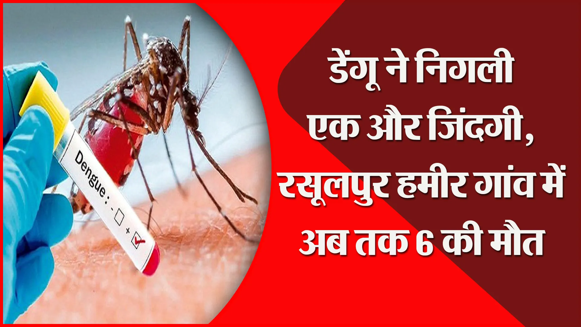 मुरादाबाद: डेंगू ने निगली एक और जिंदगी, रसूलपुर हमीर गांव में अब तक 6 की मौत