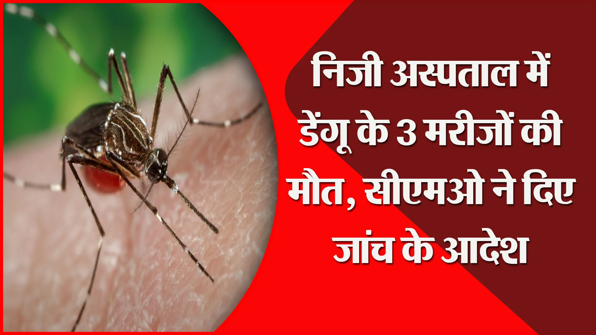 मुरादाबाद: निजी अस्पताल में डेंगू के 3 मरीजों की मौत, सीएमओ ने दिए जांच के आदेश