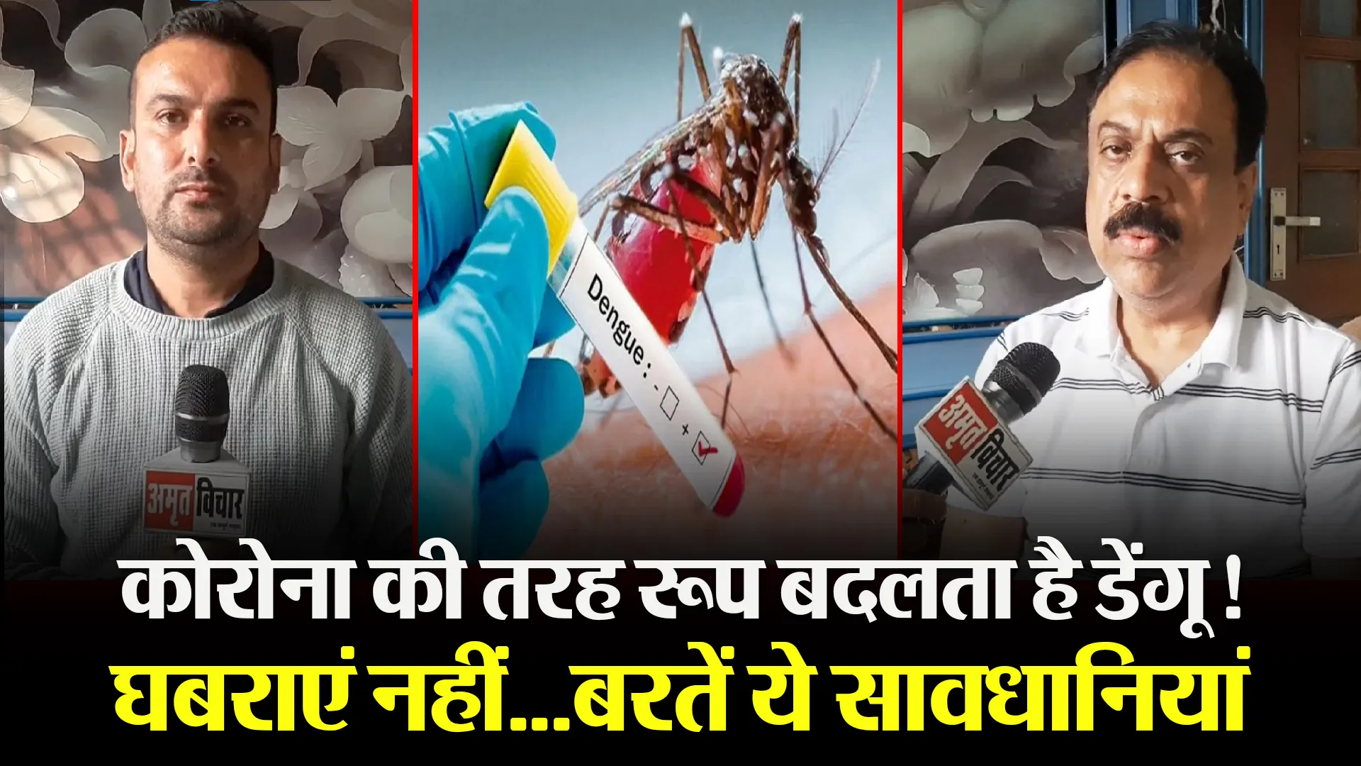 मुरादाबाद: कोरोना की तरह रूप बदलता है डेंगू! घबराएं नहीं…बरतें ये सावधानियां