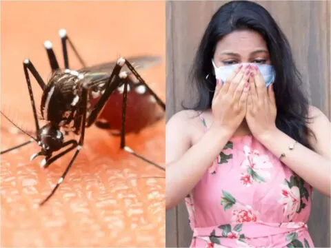 नैनीताल: डेंगू के 23 और मलेरिया के पांच मरीज मिले, स्वास्थ्य विभाग अलर्ट