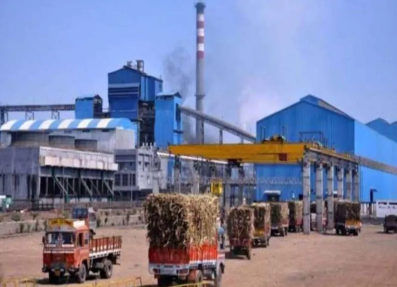 लखीमपुर-खीरी: बजाज चीनी मिल की नहीं चली एक इकाई, यार्ड में खड़ी गन्ना भरी ट्रालियां, सड़कों पर जाम की स्थिति