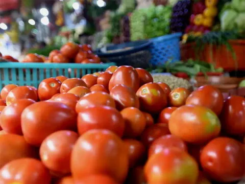 हल्द्वानी: रसोई का बजट बिगड़ा, फुटकर में टमाटर 80 रुपए किलो पहुंचा