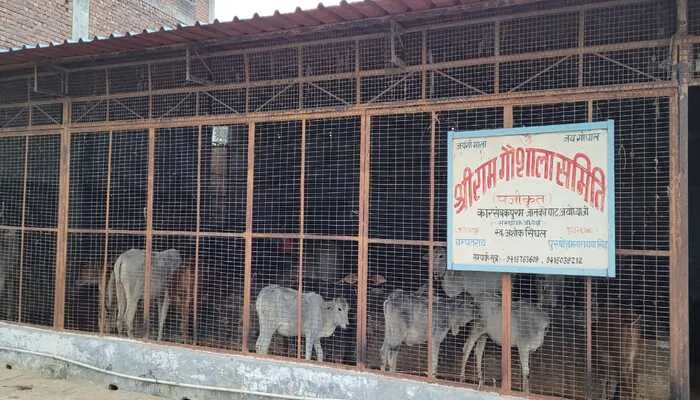 अयोध्या: विहिप के गौशाला की फाइल एसडीएम ने अटकाया, शरद शर्मा ने लगाया गंभीर आरोप