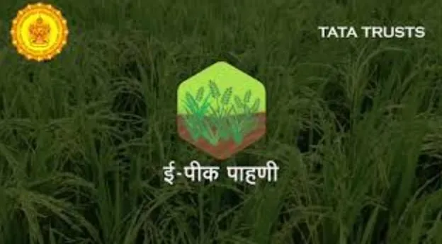 महाराष्ट्र सरकार के मोबाइल ऐप पर 58 लाख से अधिक किसानों ने कराया पंजीकरण, अब अपनी फसल का दे सकेंगे ब्योरा