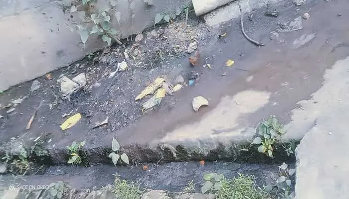 बाराबंकी में गंदगी से डेंगू मरीजों के आंकड़ों में हुआ इजाफा