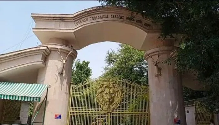 29 नवम्बर को चिड़ियाघर का 100वां स्थापना दिवस, इजराइल से तीन जेब्रा पहुंचे लखनऊ के चिड़ियाघर