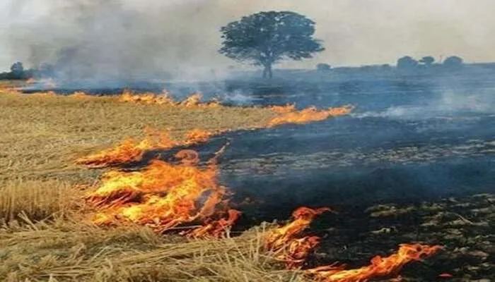 पराली जलाने वालों को झांसी प्रशासन कड़ी समझाइश देने की तैयारी में
