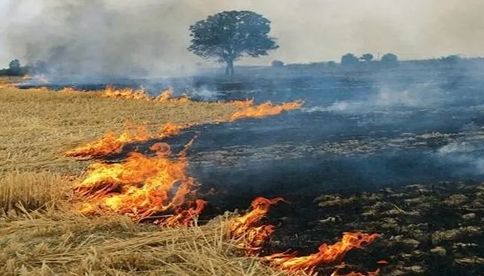 पराली के संबंध में किसानों को जागरूक करने में जुटा झांसी प्रशासन