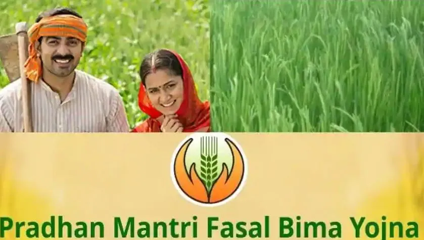 प्रधानमंत्री फसल बीमा योजना: पंजीकरण कराने वाले किसानों की संख्या 30 प्रतिशत घटी, आवेदन बढ़े
