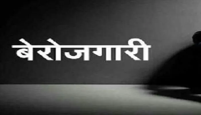 बेरोजगार युवक ने नौकरी दिलाने को सीतापुर प्रशासन से मांगी मदद