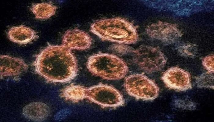 नए ओमीक्रान वेरिएंट को लेकर उत्तर प्रदेश सरकार अलर्ट