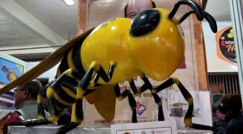 हल्द्वानी में तीन दिवसीय हनी-बी अंतरराष्ट्रीय महोत्सव शुरू, 700 से ज्यादा मौनपालक हुए शामिल