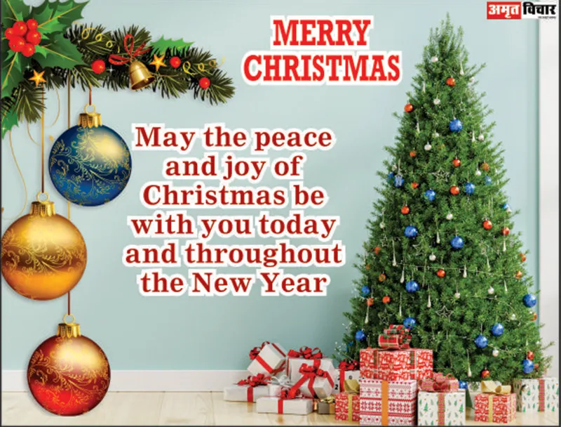 merry Christmas wishes to senior