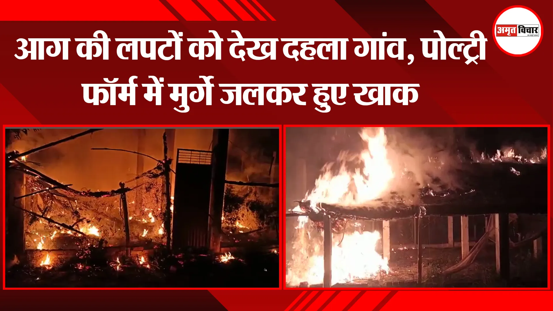 कानपुर: आग की लपटों को देख दहला गांव, पोल्ट्री फॉर्म में मुर्गे जलकर हुए खाक