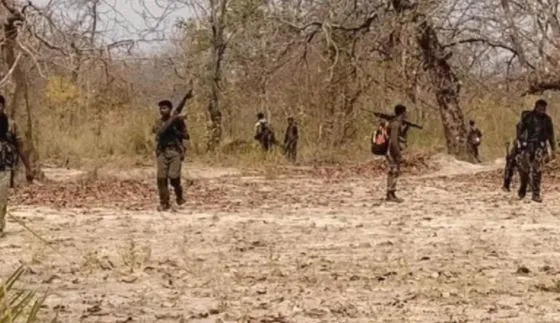 छत्तीसगढ़ में नक्सल प्रभावित इलाके से दो आईईडी बरामद