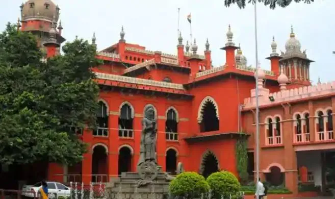 वाराणसी से वाडिप्पट्टि तक पवित्र गायें हैं, कोई उनका मजाक उड़ाने की हिम्मत नहीं कर सकता: अदालत