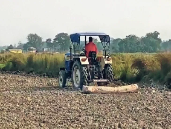 रायबरेली: डीएपी खाद की किल्लत से गेहूं की बुआई पिछड़ी