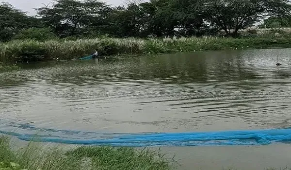 मत्स्य उत्पादन और वितरण में रामपुर प्रदेश में अव्वल, 36 मत्स्य पालकों को 31.63 करोड़ रुपये हस्तांतरित