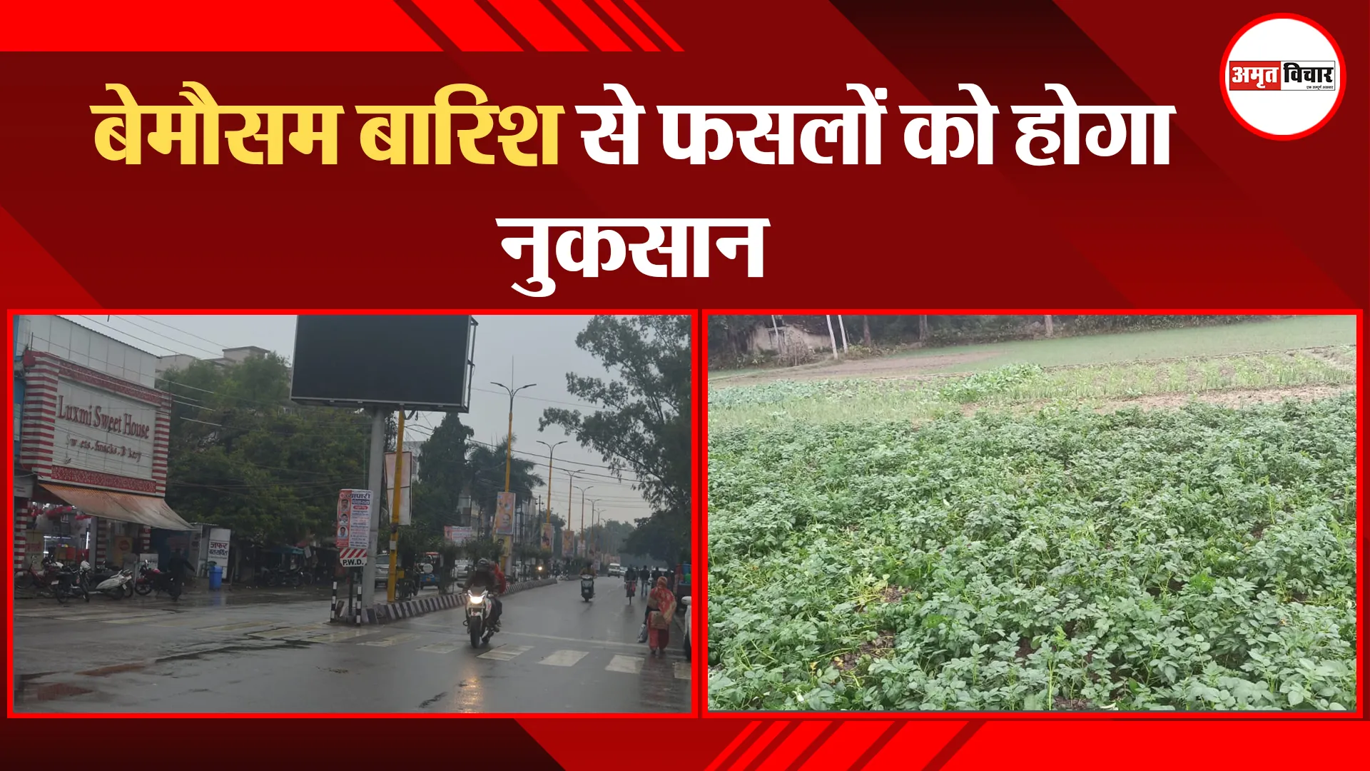 अयोध्या: बेमौसम बारिश से फसलों को होगा नुकसान