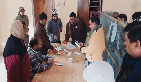 अमरोहा : मिट्ठनपुर कला के प्रधान बने आबिद, 353 वोट मिले