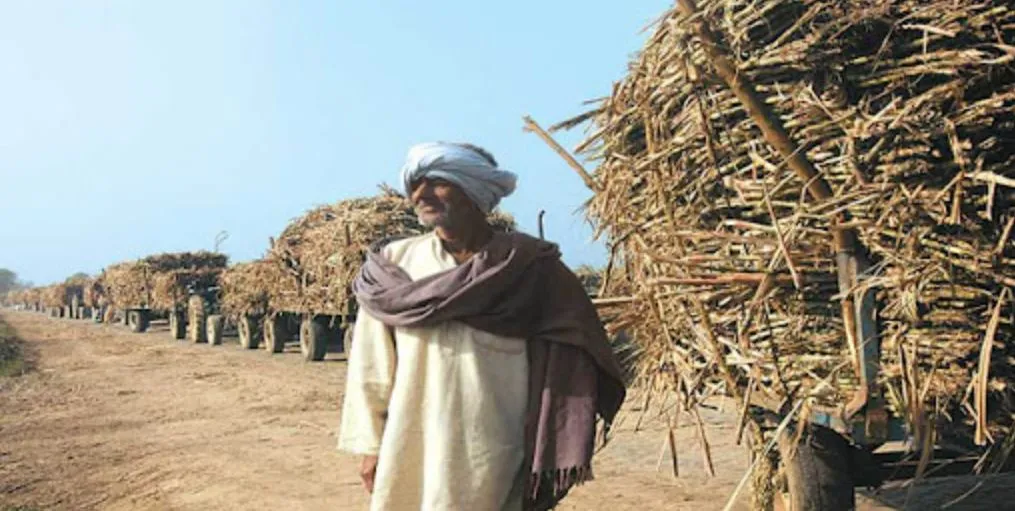 बरेली: छह हजार किसानों के सट्टे बंद होने का खतरा