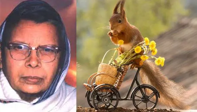 गिल्लू: दो कौवे एक गमले के चारों ओर चोंचों से छूआ-छुऔवल जैसा खेल खेल रहे हैं…